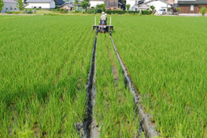 田んぼの管理作業