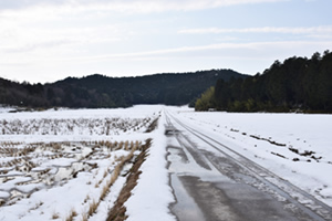 雪に隠れた冬の田んぼ